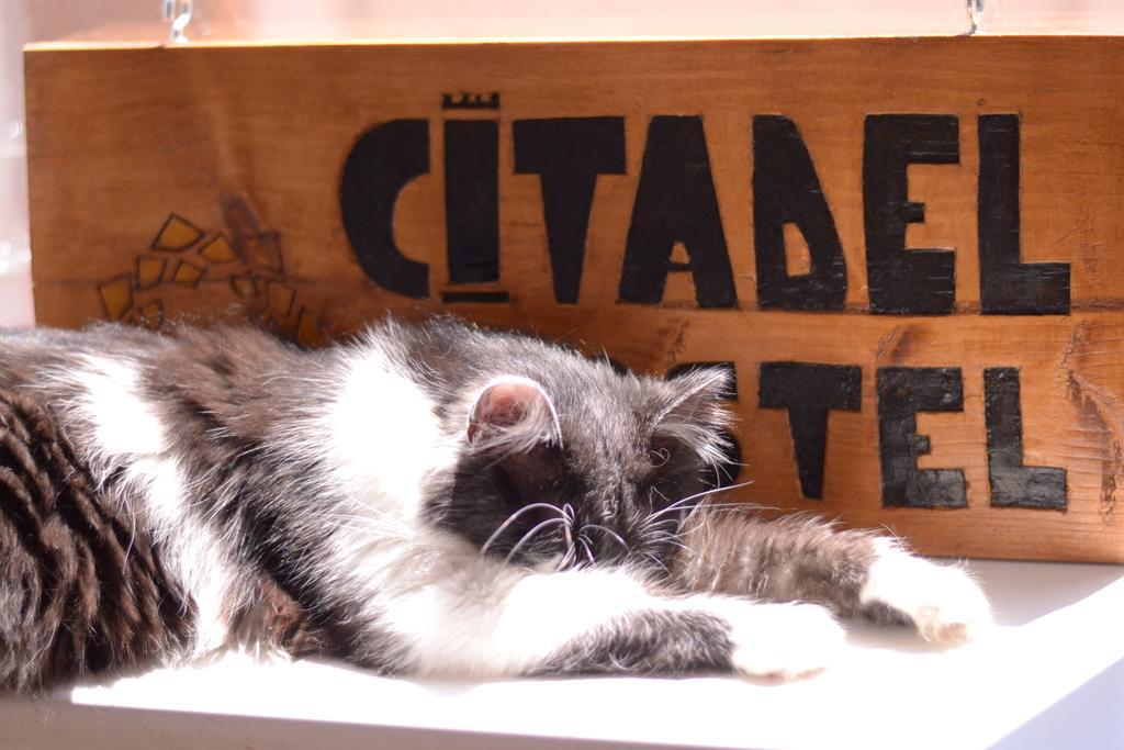 Citadel Hostel Alba Iulia Bagian luar foto
